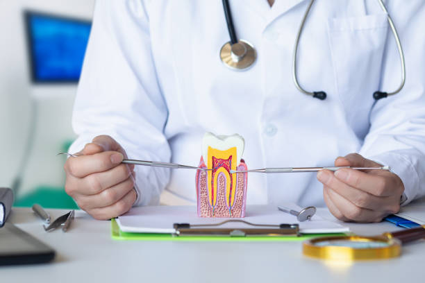 Best Pediatric Emergency Dentist in Grandview, TX